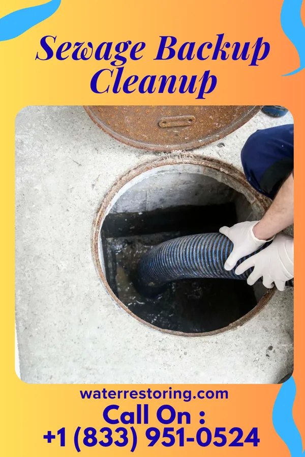 Sewage Backup Cleanup in Fern Park, FL