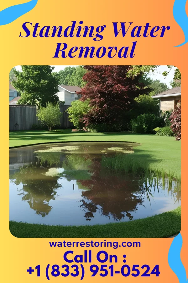 Standing Water Removal in Fern Park, FL